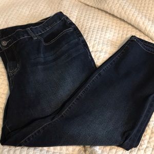 Torrid jeans skinny 24 regular length